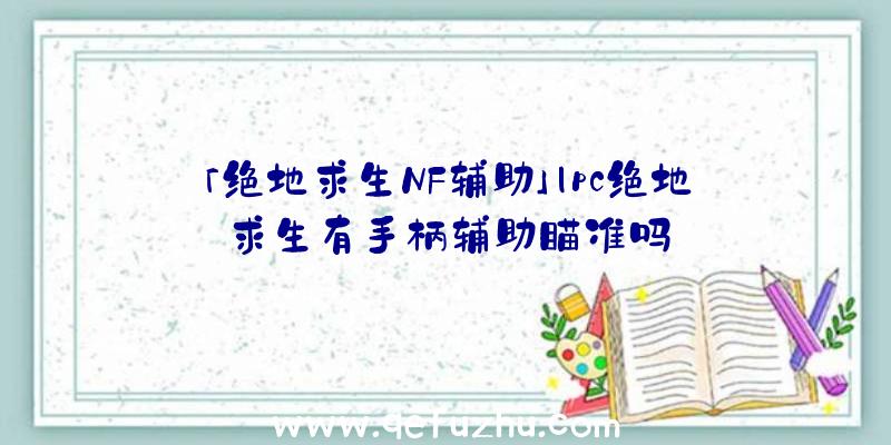 「绝地求生NF辅助」|pc绝地求生有手柄辅助瞄准吗